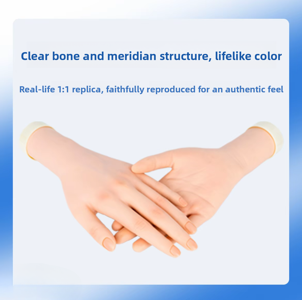 Manicure Practice Hand Models